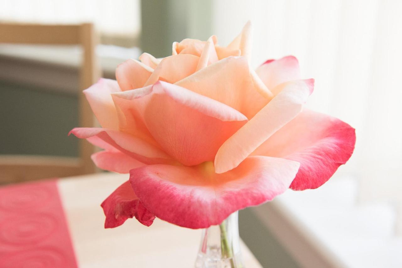 פורטרי The Roses B&B מראה חיצוני תמונה